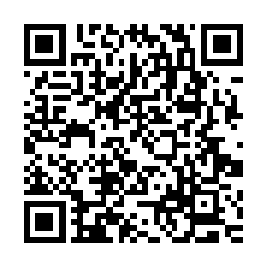 在群居紫云神兽中找到紫云碎片的概率要比独居的紫云神兽大二维码生成