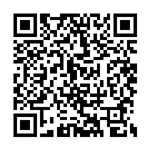 在翠花的手中只留下了王杰身上衣服的一块布料二维码生成