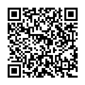 在肚皮上她经过反复计算而画上去的十字形状抚摸了一下二维码生成