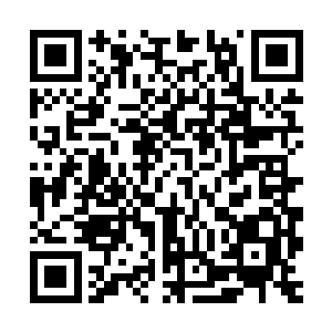 在背嵬军中投入最大的骑兵队伍可能是武朝最为精锐的部队之一二维码生成