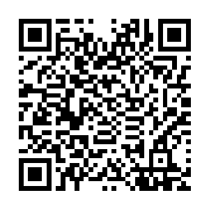在胳膊上的伤口上包扎了一下就带着剩下的人一起去天龙帮了二维码生成