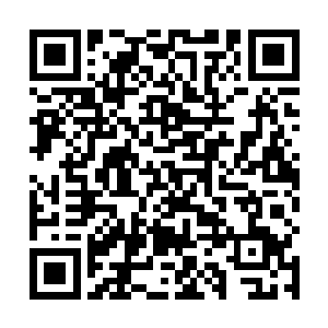 在脑中将这些年所经历的事情的反反复复的回忆了一变二维码生成