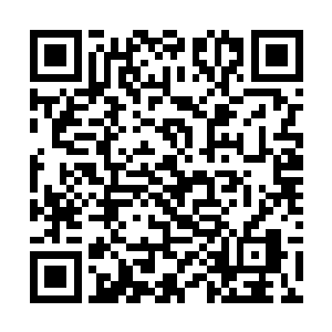 在脑海中将这次参与行动的全体修仙者名单都过一遍二维码生成