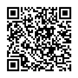 在自己的神魂和那枚深埋在张嘉树脑域中的碎片指尖二维码生成