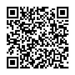 在自己的面前竟然活生生的出现了一尊涅槃境界的超级高手二维码生成