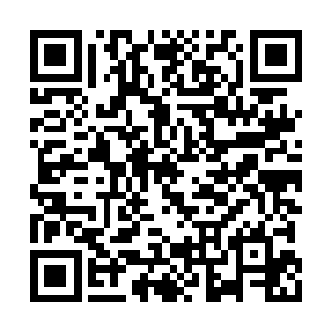 在自己看来反正上面有父亲和老爷子在哪来撑着二维码生成