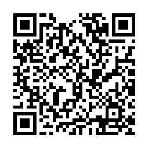 在自己被真武会馆的兄弟团团围拢的情况下怎么还敢抽自己的脸二维码生成