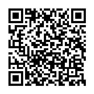 在自己这儿租一个房间跟外面租一个房子差不多二维码生成