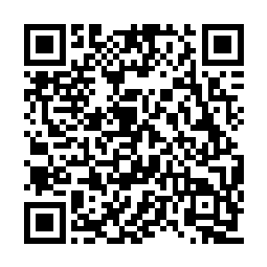 在自己面前的这个白衣道士竟然比自己还要凶狠二维码生成