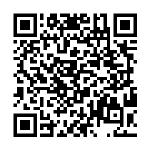 在苍南村外杨开以下品大巫师的境界催动岁月如梭印二维码生成