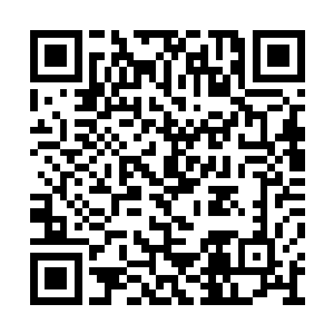 在苍卢秘境中随时都可能遇到更多的妖族和魔族二维码生成