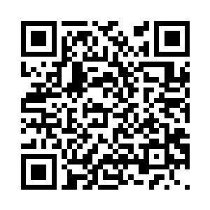 在苍岳宗能够当得上苍王和岳王的人二维码生成