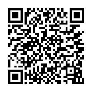 在苏凡他们之中竟然有着两位可以进入空灵之境二维码生成