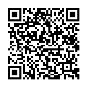 在苏凡怀中的陈巧也忘记了害怕直接笑出了声音二维码生成