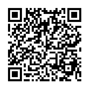 在苏凡等人商定好了之后也是一路驾车来到这里二维码生成