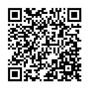 在苏谯县这块地盘上那是跺一跺脚都得要变色的人物二维码生成