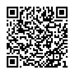 在苏青黛答应它前往天柱山帮助它寻找仙药之后二维码生成