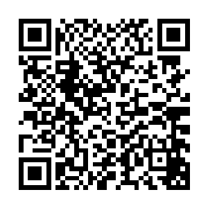 在莫崎和颜洛儿凝重细致的帮流墨墨剥离灭杀心魔暗影的时候二维码生成