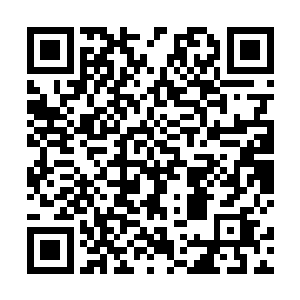 在莲台之上有着由一朵朵小型虚无之花构筑而成的拱门二维码生成