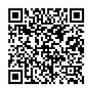 在萧家弟子的队伍前面站着的队长是萧如归的儿子萧猛二维码生成