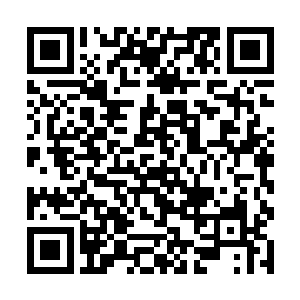在萨卡特卡兹帝国的信仰领域当中更是可以发挥接近二维码生成