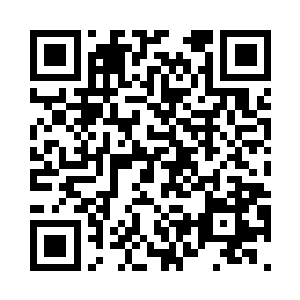 在落阳的身前突然又浮现出九颗妖丹二维码生成