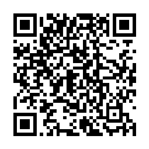 在落霞宫她和万里有爱面谈之后就猜到了这个结果二维码生成