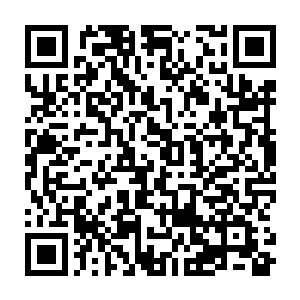 在蓝玉落入她手中的一瞬间便化成蓝色的能力之光钻入了她的手掌心之中二维码生成