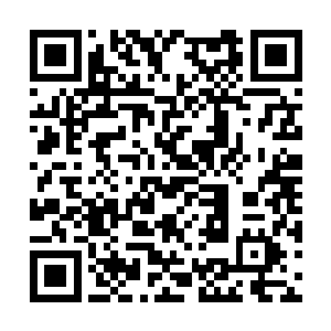 在蔡老头的背后会有华能集团这么一个庞然大物呢二维码生成