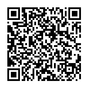 在虚幻空间外面的一片青璃妖竟然全被颜洛儿出手收到了很久不用的乾坤袋中~二维码生成