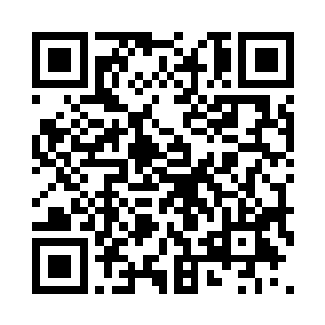 在虚空中并蒂绽放的双色花朵摇曳一如既往二维码生成