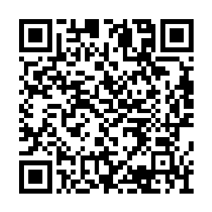 在虚空之中关注下方恶龙之魂的龙族的众多高手二维码生成