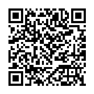 在虚空化作一道长虹直奔雾气中的命数之龙而去二维码生成