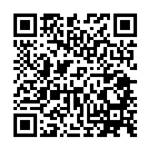 在融合了诸多基因法相以及那地藏相身还有大巫精血之后二维码生成