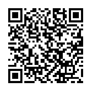 在血肉模糊的碎骨中间慢慢逸散出一团团诡异的黑气二维码生成