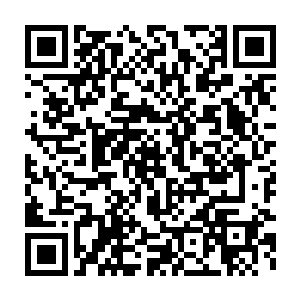 在血色荒原都威名赫赫的双头骨龙科罗迪可不会害怕一个人类游侠二维码生成