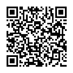 在血蛟魔婴和血身彻底炼化了体内的这些精纯的血元和精元之后二维码生成