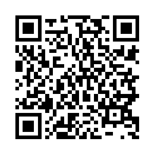 在衔尾蛇之环内部就是最为纯粹的血统证明二维码生成