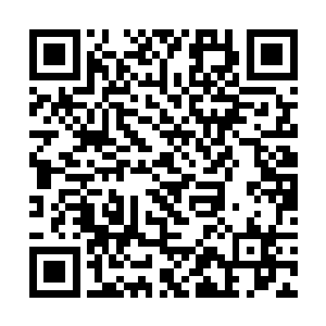 在西方发现后不久被八国联军捕捉并从此在中国消失二维码生成