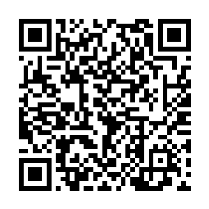 在西门外正在发起攻势的白狮军将士无不精神大震二维码生成