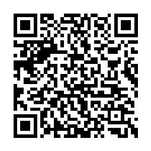 在见到城主被那头来历不明的巨兽一口吃掉之后二维码生成