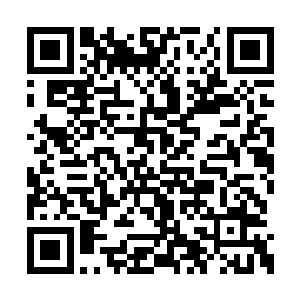 在见到张潇晗可以看到和抓住狼兽蝠的晶石之后二维码生成