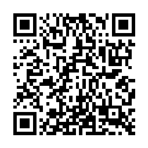 在见到木盒之中光芒璀璨且散发着淡淡清香的明珠之时二维码生成