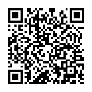 在规定时间内完成集结……被提前催生的民国大选二维码生成