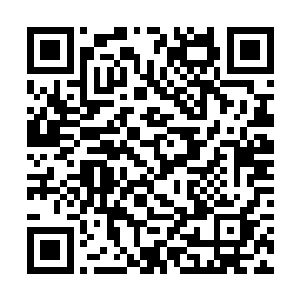 在计划书上面的最后一页上面附录上还画了一些草图二维码生成