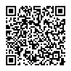 在许紫烟和那五十余个万法峰的修士之间充斥着无数的丈许大的金色拳头二维码生成