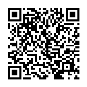 在许紫烟的心里也对这宝器拳的威力有了一个大概的了解二维码生成