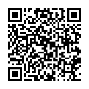 在许紫烟等人离开苍澜宗之后就闭关的张无界出关了二维码生成