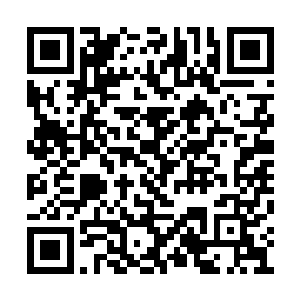在试炼塔中他都可以将如同大地一般的气息轰开二维码生成