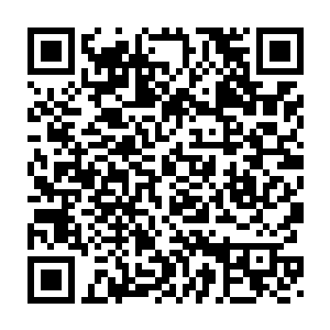 在说实话和估计会被这几只强行摁在虚元仙山帮米灵烟续命之间选择二维码生成